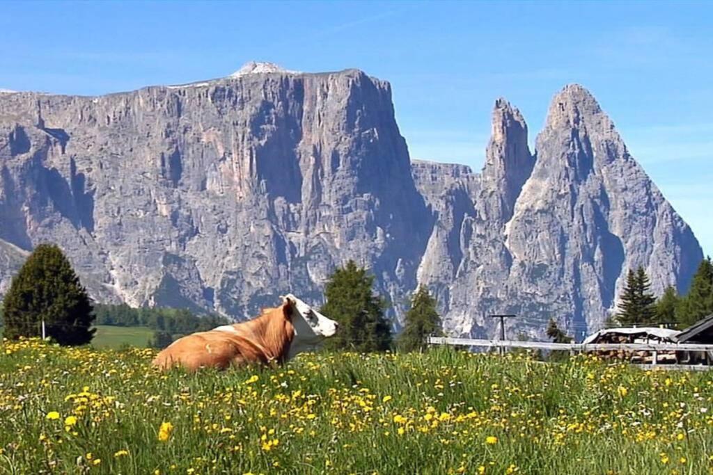 Ferienwohnung Fantastico Monolocale In Siusi Sciliar Exterior foto