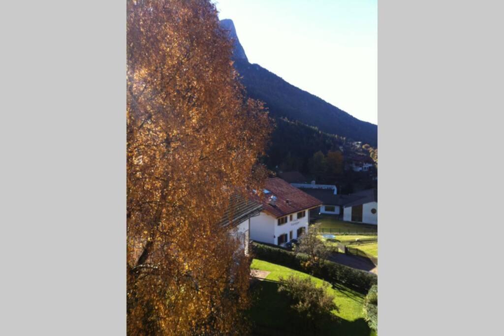 Ferienwohnung Fantastico Monolocale In Siusi Sciliar Exterior foto