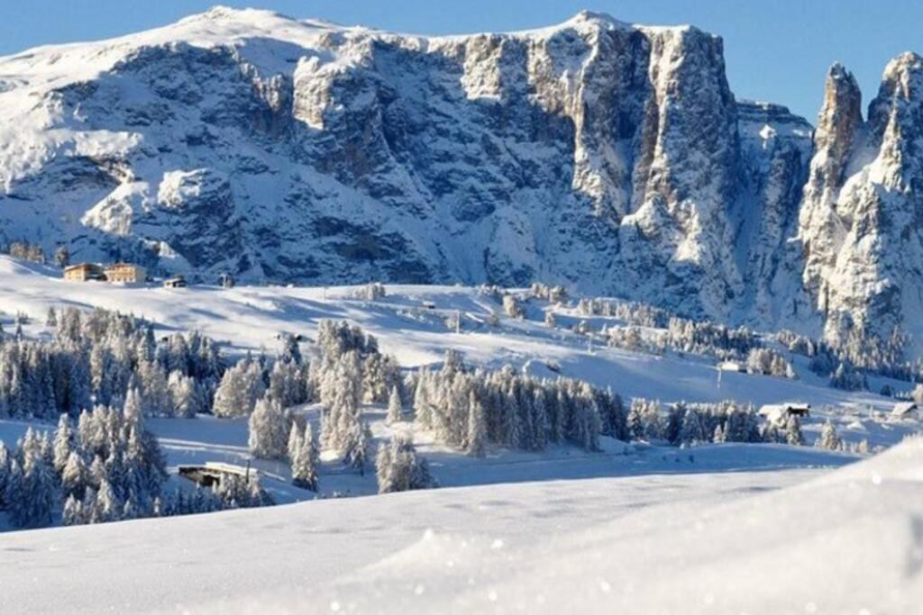 Ferienwohnung Fantastico Monolocale In Siusi Sciliar Exterior foto